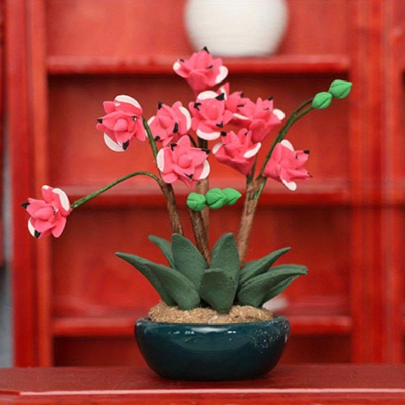 Vasi da fiori in miniatura Sce - Tagine Clay Pot recensione e prezzo