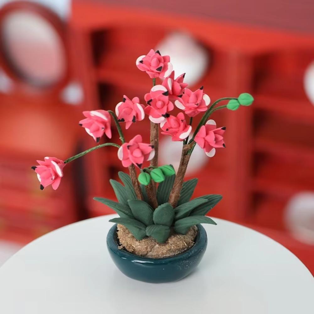 Vasi da fiori in miniatura Sce - Tagine Clay Pot recensione e prezzo